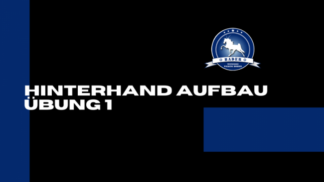 Hinterhand Übung 1