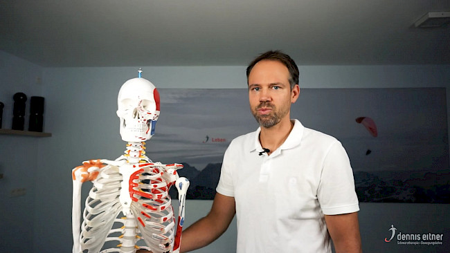 Woche 1 - Musculus orbicularis oculi