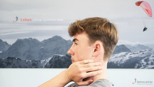 Woche 11 - Musculus digastricus