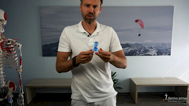 Woche 14 - Das Zwerchfell