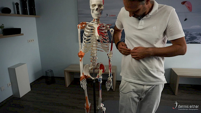 Woche 17 -Schräge Rumpf Muskulatur