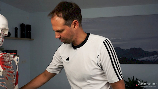 Woche 30 - Musculus adductor pollicis