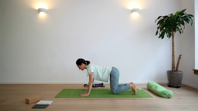 024: Flow gegen chronische Schmerzen im unteren Rücken