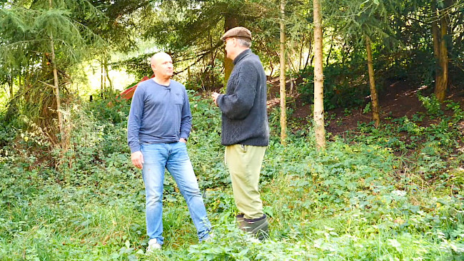 Wichtiges um das Thema essen