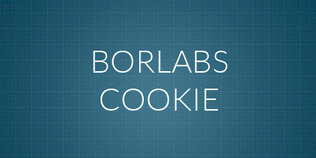 Borlabs Cookie einrichten