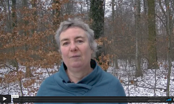 Bedürfnisse und Verbindung