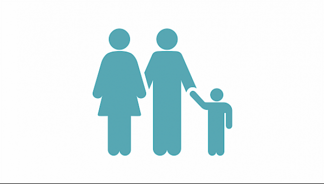 Anatomie und Physiologie