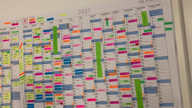 Analoge Organisation