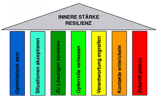 Säulen der Resilienz Video 1