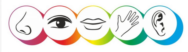 Wahrnehmung und Wahrnehmungsfilter