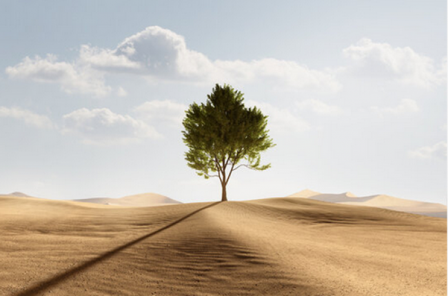 Anpassungsfähigkeit