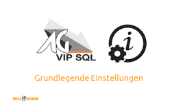 Grundlegende Einstellungen in AG-VIP