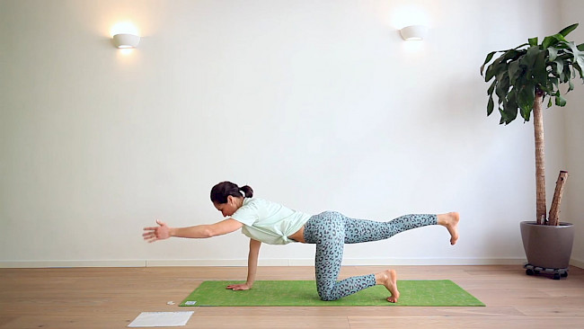 043: Yoga-Workout "Fit in den Frühling" - Ganzkörper Integration