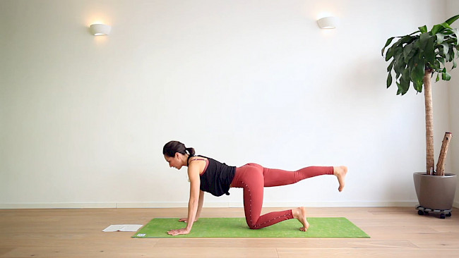 039: "Frühlingserwachen"-Yoga-Flow