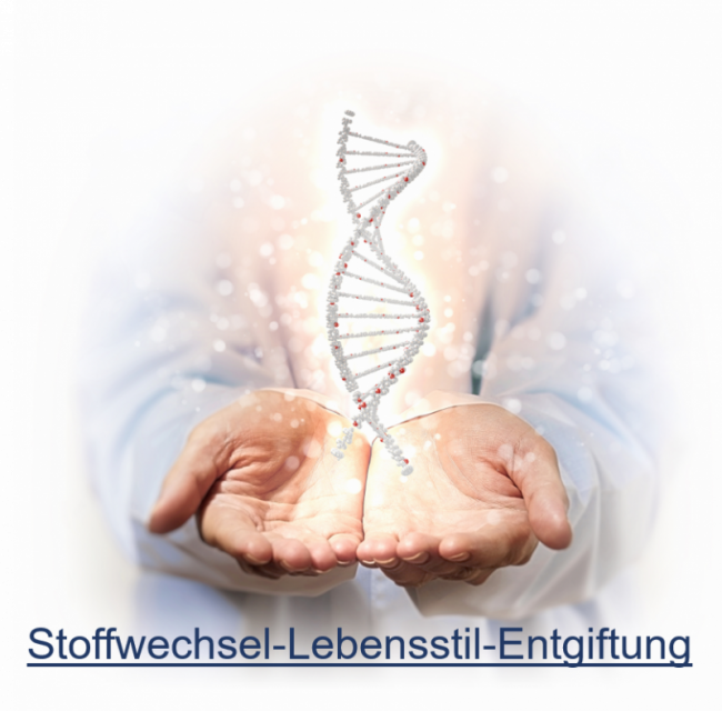 Stoffwechsel-Lebensstil-Entgiftung