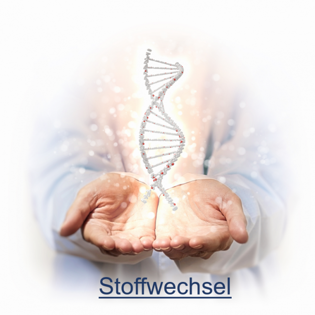 Stoffwechsel