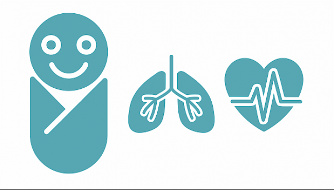 Kreislauf beurteilen 2