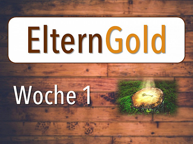 Woche 1: Du hast Einfluss!