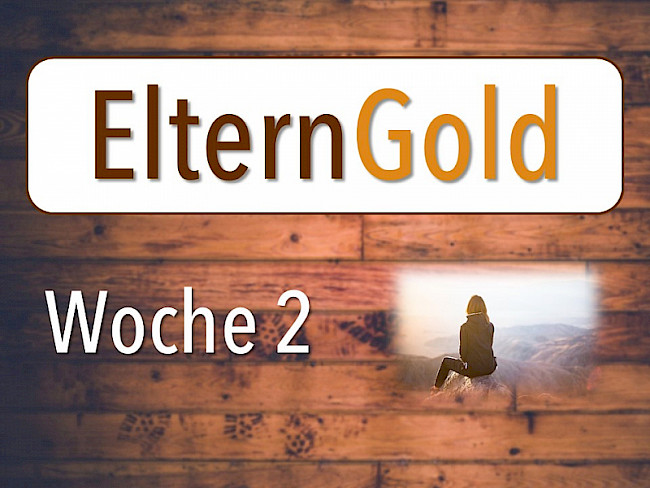 Woche 2: Situation analysieren