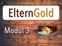 Modul 3: Die 3 Säulen hoher Motivation