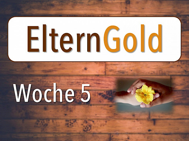 Woche 5: Die 3 Säulen hoher Motivation