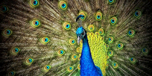 Die eigene Attraktivität erkennen