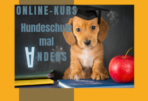 Hundeschule mal Anders - Volksschule