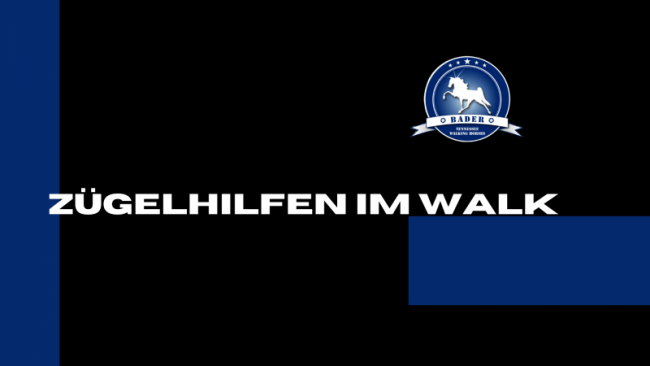 Zügelhilfen im Walk