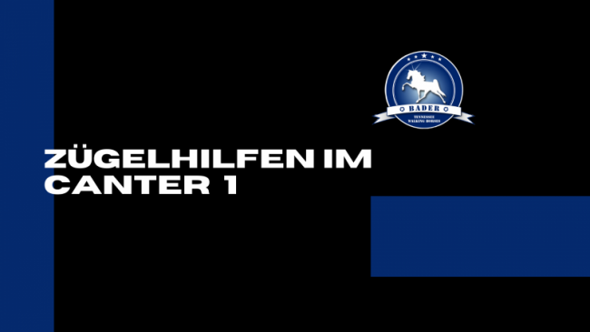 Zügelhilfen im Canter 1