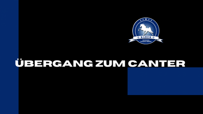 Übergang zum Canter