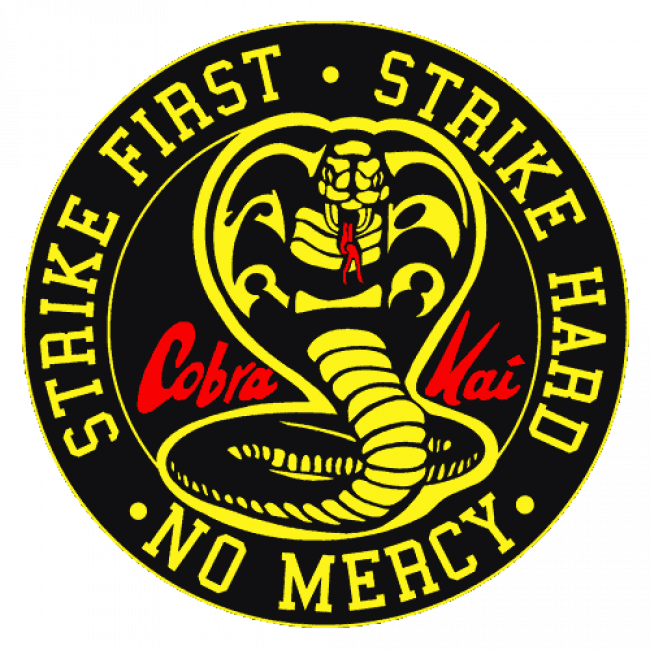 COBRA KAI-Training - Guide To-Tai Alisia Kuvschinov Guide To-Tai Fabio Kroschel