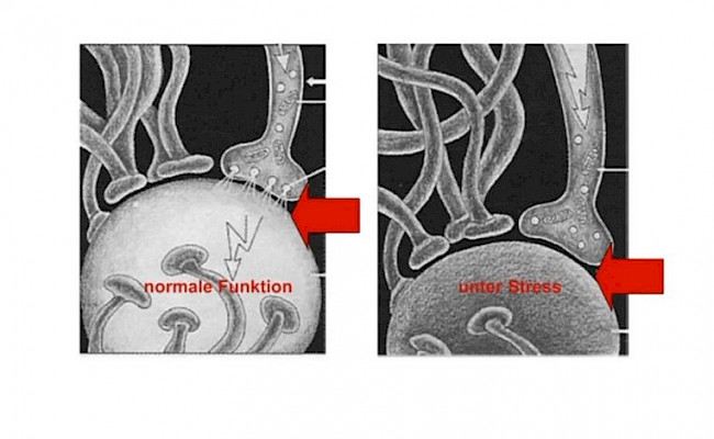 3. Stress und Effizienz