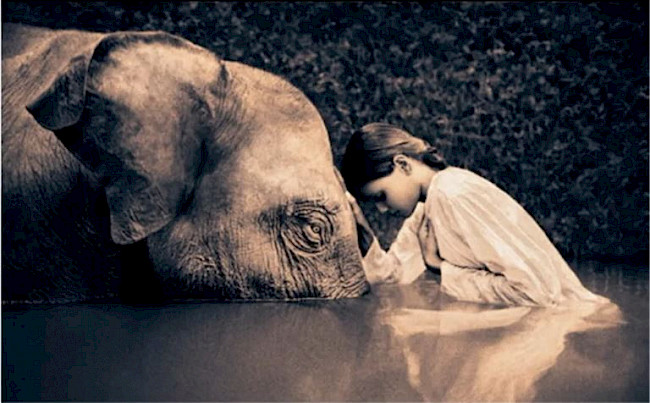 13. Zwischen den Zeilen hören