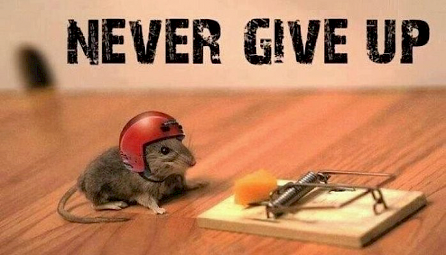 17. Abschluss ohne Ende