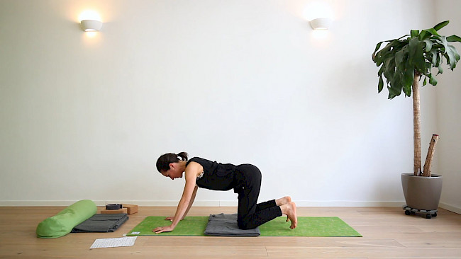 048: Pränatal - Rückenfürsorge "Oberer Rücken"