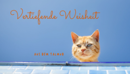 Vertiefende Weisheit_Worte aus dem Talmud