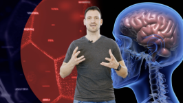 Physische Performance – Trainiere wie ein Profi!