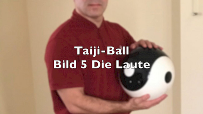 Bild 5 - Die Laute