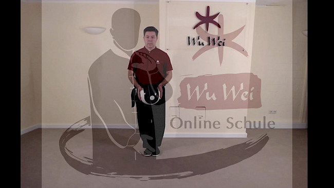 Bild 21 - Drehung und Stoß