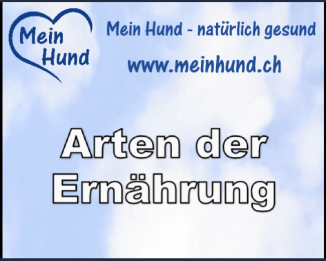 Die Arten der Ernährung