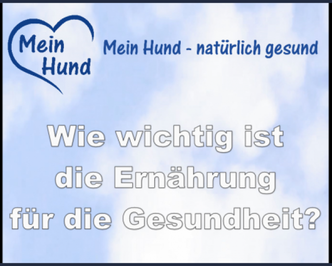 Wie wichtig ist Ernährung für die Gesundheit?