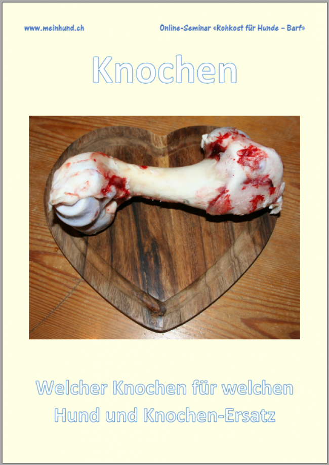Knochen und Ersatzprodukte