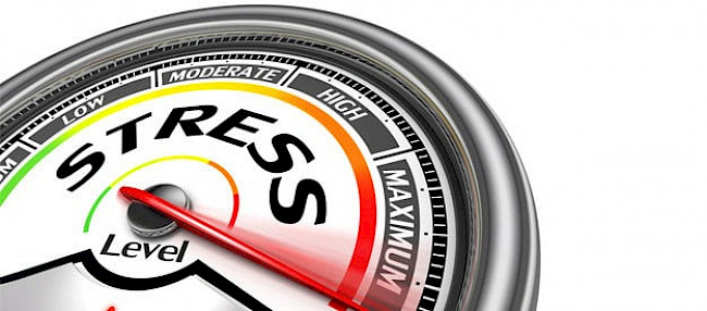 Was passiert im Körper (Video 2)