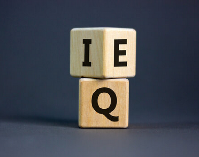 Emotionale Intelligenz Video 1