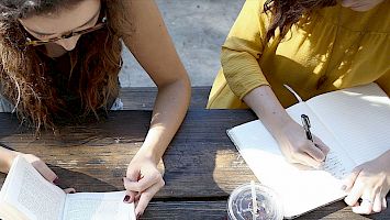 alphaLearning - gehirngerecht lernen und arbeiten