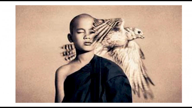 7. Mindmapping beim Zuhören