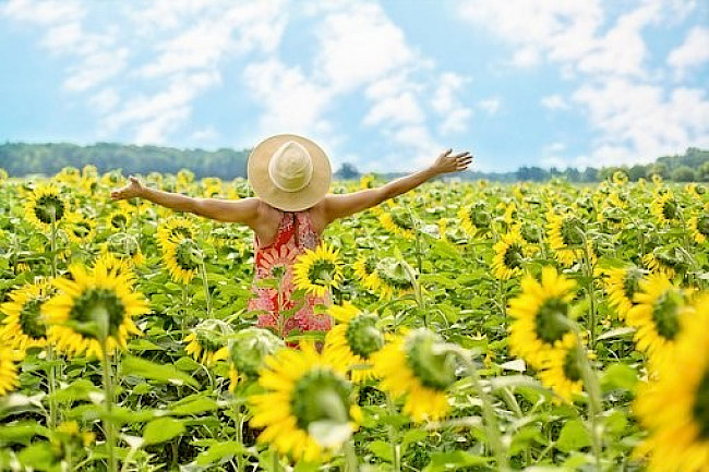 6. Mentale Ressourcen