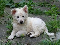 Ernährung für jedes Alter