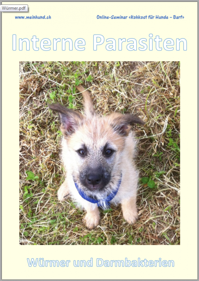 Interne Parasiten – Würmer und Darmbakterien