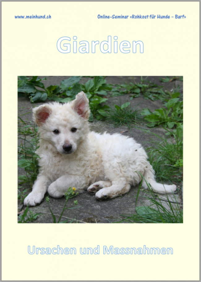 Interne Parasiten – Giardien